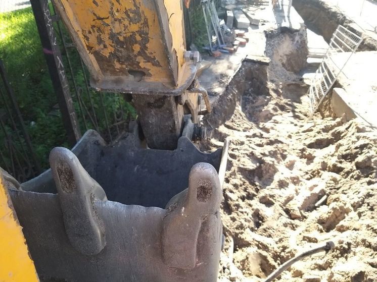 В Сосновом Бору строят пешеходную дорожку без вреда для зеленых насаждений
