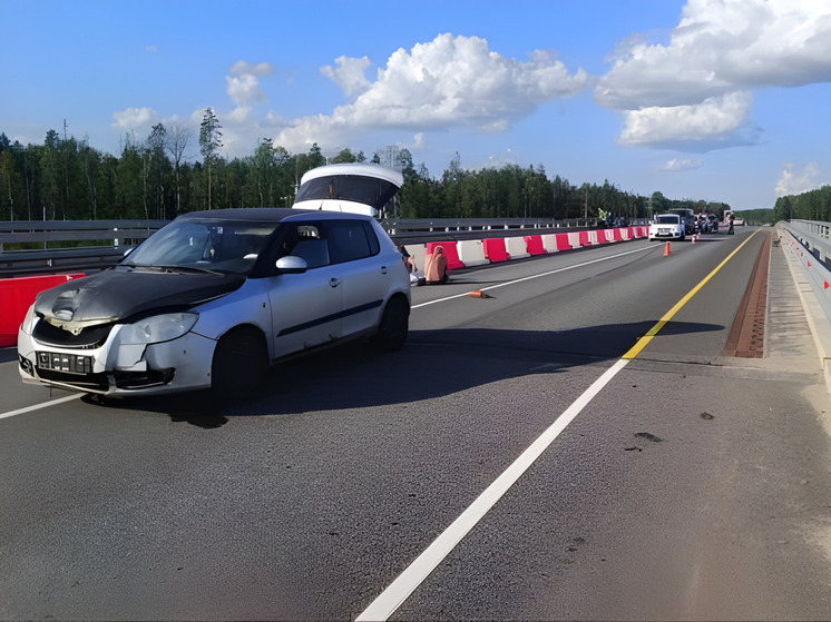 Автомобиль сбил насмерть 11-летнего мальчика на трассе М-11 под Петербургом