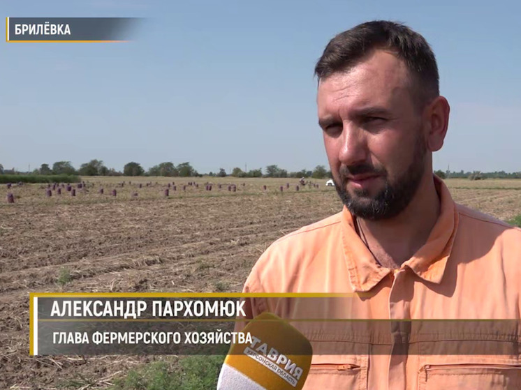 На Херсонщине приступили к уборке картофеля: урожайность снизилась на 30%