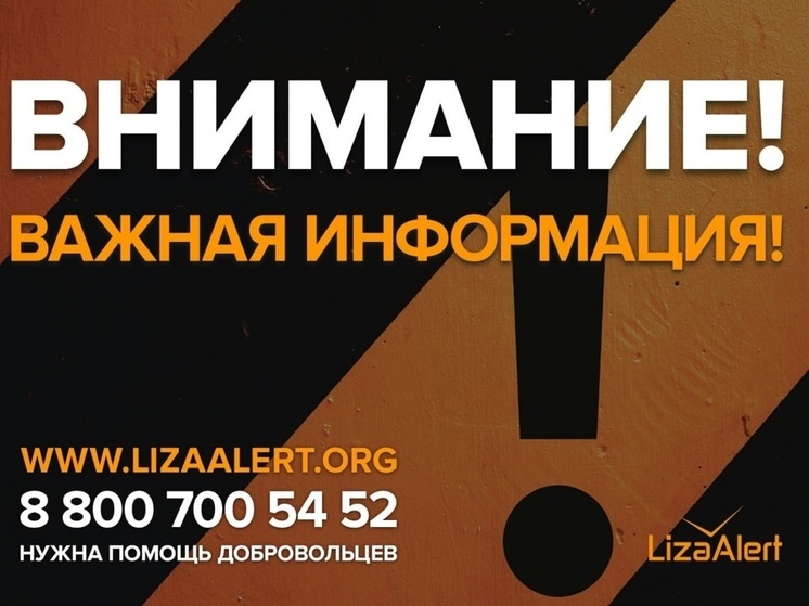 Курский отряд «ЛизаАлер» принял 55 заявок на поиск людей из приграничных районов