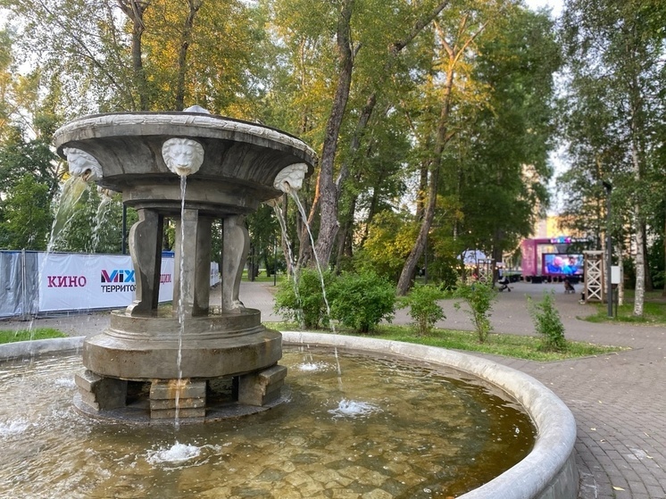 Финский циклон принес в Архангельскую область дожди и грозы