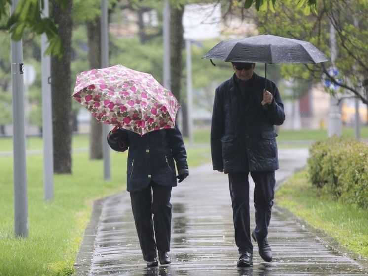 Сентябрьские холода придут в Подмосковье на следующей неделе