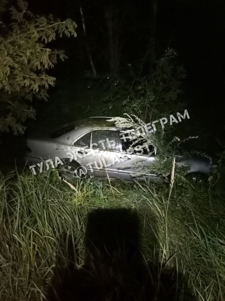 Под Тулой лось вышел на дорогу и спровоцировал серьезное ДТП