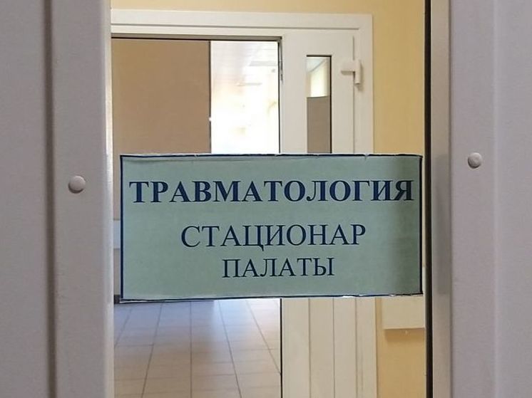 В Кингисеппе полиция задержала хулигана, кинувшего в ребенка петарду в парке