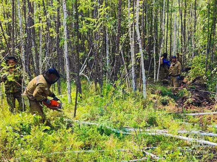 Лесные пожары не представляют угрозы для населенных пунктов и объектов экономики Якутию