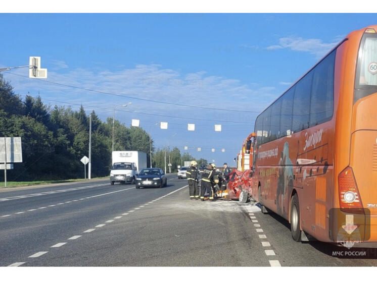 В результате ДТП в Сафоновском районе погибло 2 человека