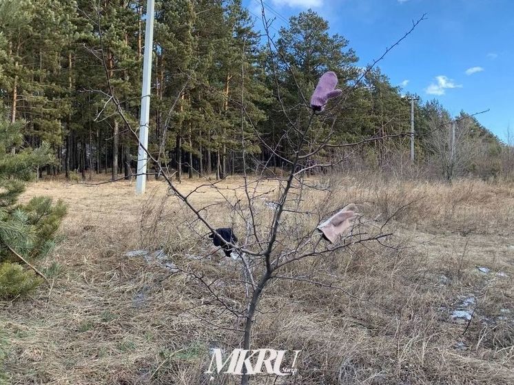 Пропавшего 9 августа 12-летнего мальчика нашли в Чите