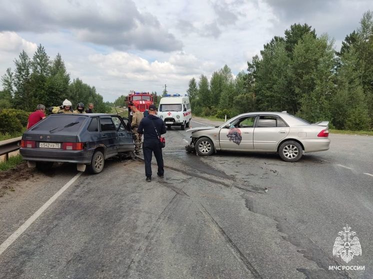 Под Томском сотрудники МЧС помогли пассажиру попавшего в ДТП автомобиля