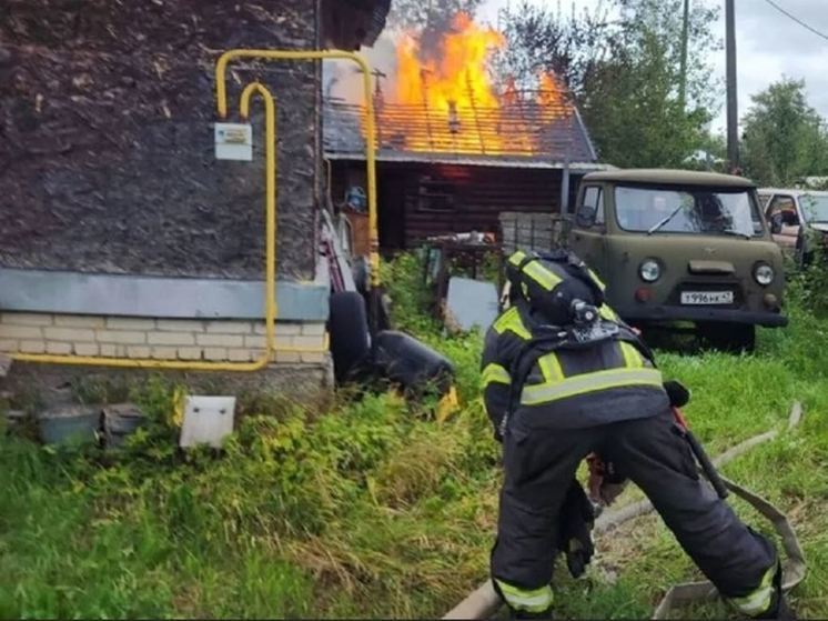Пожарные в Ленобласти за сутки потушили 11 пожаров