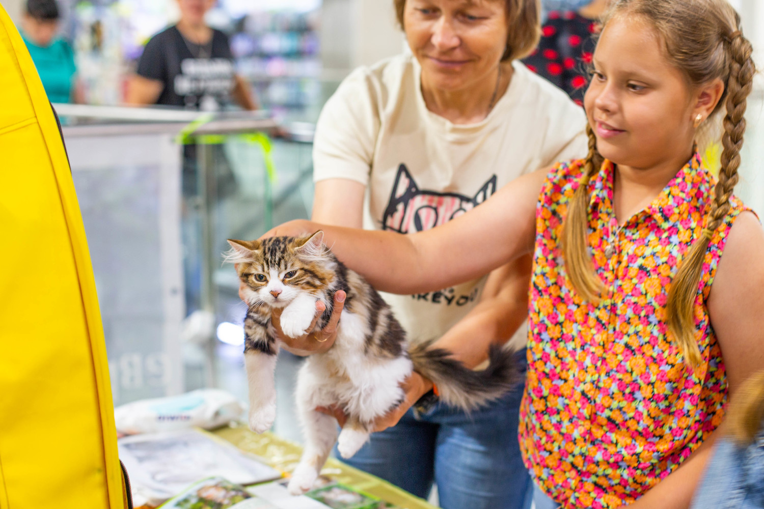 Породистых и милых котиков раскупили на выставке в Хабаровске: фото