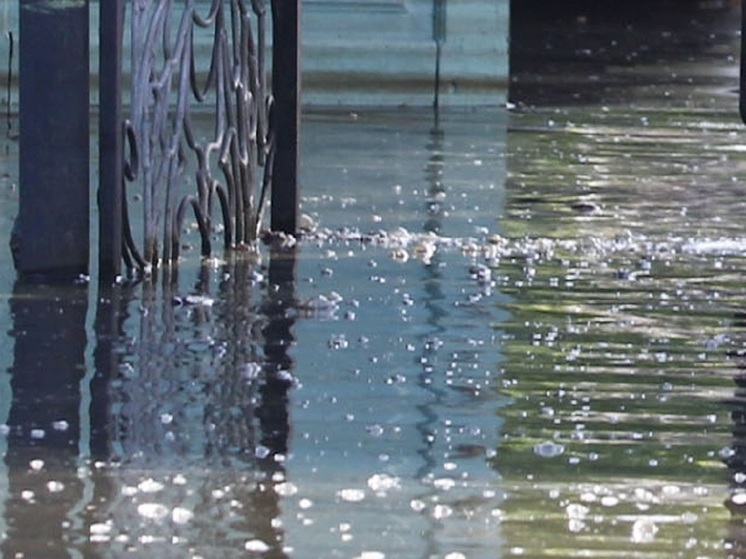 Водитель на внедорожнике утонул в пожарном водоеме СНТ Ленинградской области