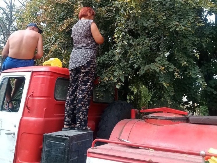 Скадовское лесоохотничье хозяйство продолжает сбор семян деревьев
