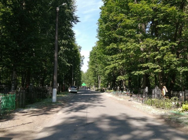 Росстат подсчитал процент естественной смертности в России