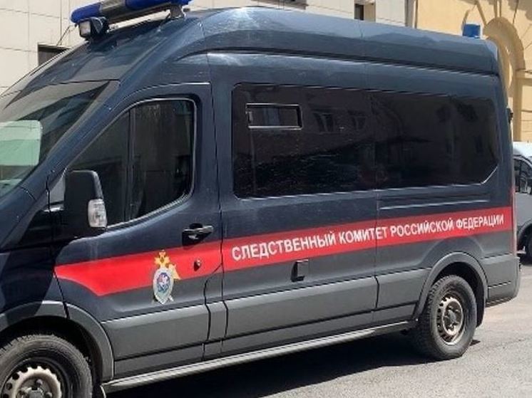 Женщина ударила подростка в Янино-2 и попала на контроль к Бастрыкину