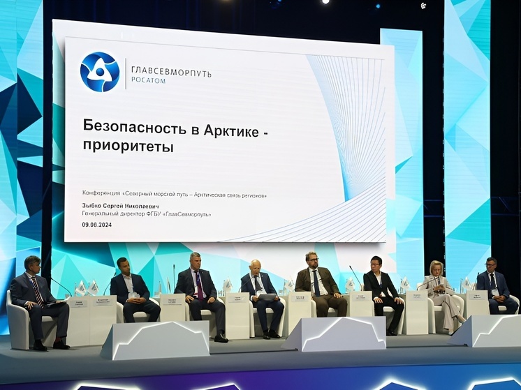 На форуме в Архангельске обсудили безопасность в Арктике