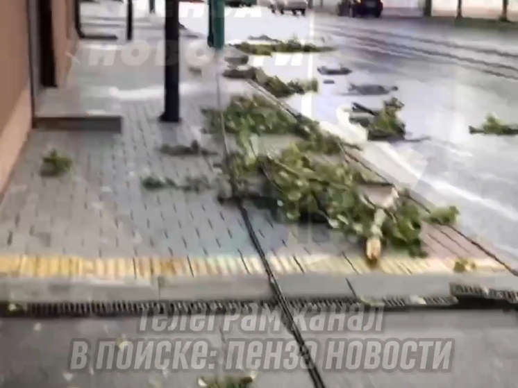 В Пензе в результате урагана на центральной улице оборвало провода