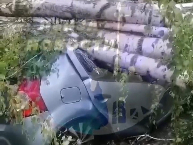 Во время урагана в Пензенской области дерево раздавило авто