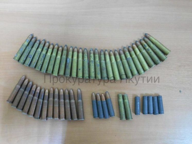 За незаконное хранение оружия и боеприпасов осужден якутянин