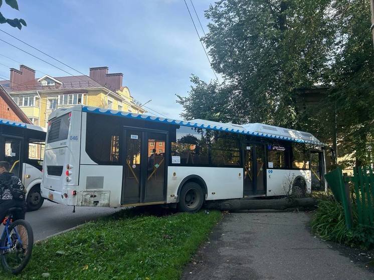 Костромские ДТП: автобус маршрута №14 врезался в дерево на проспекте Текстиьщиков