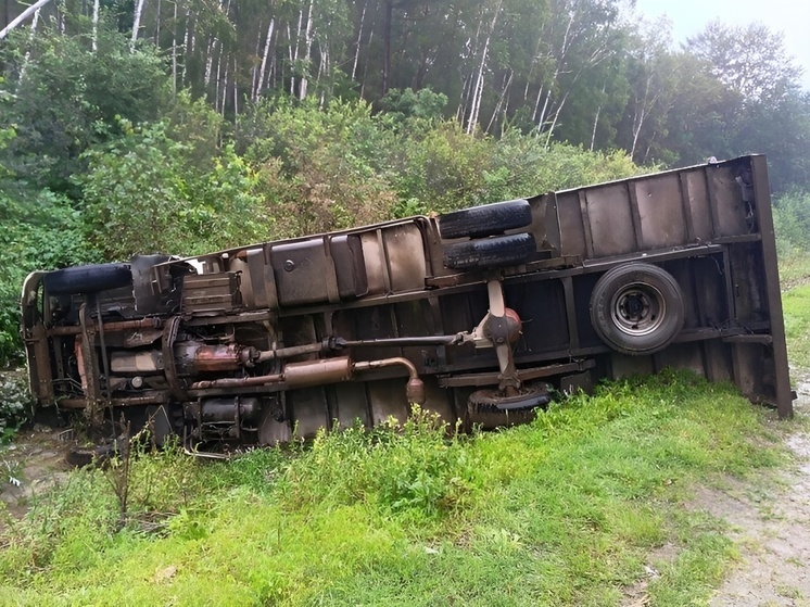 Грузовик с маленькими пассажирами улетел в кювет на трассе ЕАО