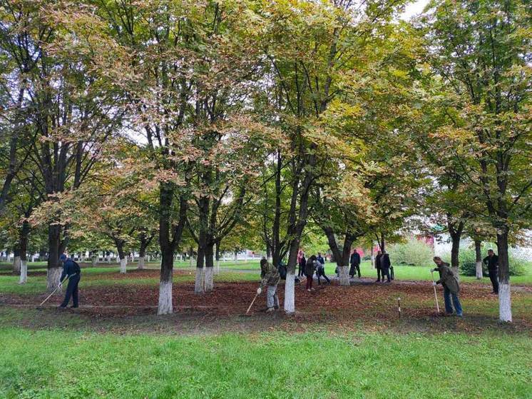 В Брянске стартовал месячник по благоустройству