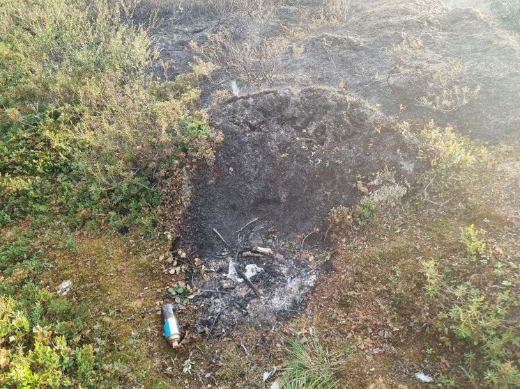 Пожары в Заполярье приходится тушить с вертолета