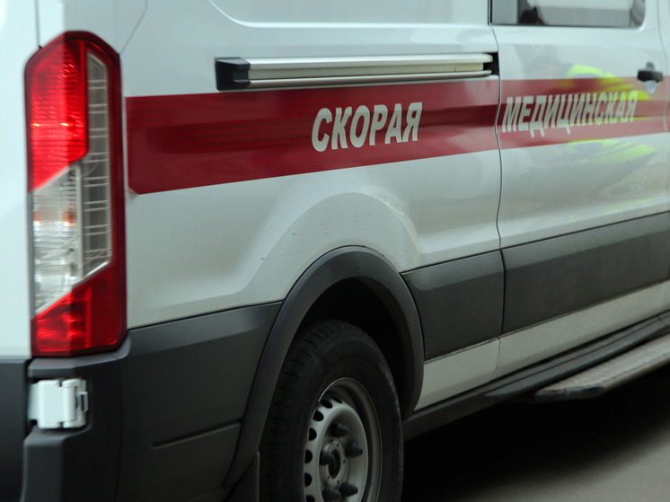 Ночью в Подмосковье погиб водитель, сбив на дороге лошадь