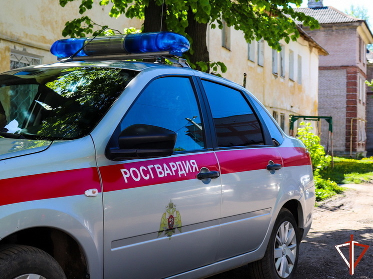В Марий Эл сотрудники вневедомственной охраны Росгвардии задержали около ста нарушителей за месяц