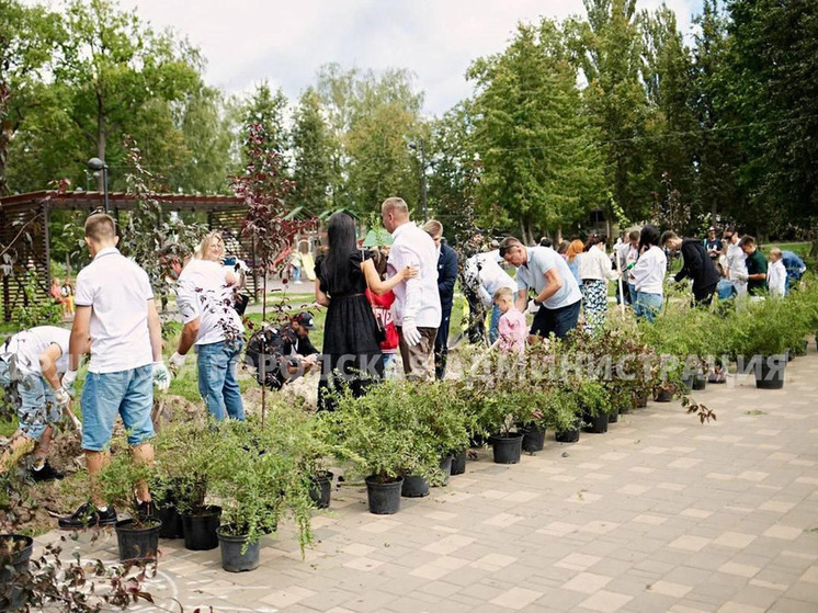 Жители Брянска высадили деревья в Майском парке