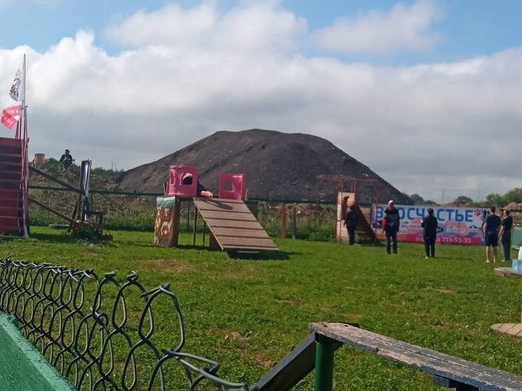 Новая дрессировочная площадка для собак открылась в Вологде