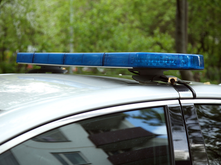 В лесу Подмосковья обнаружили скелет мужчины