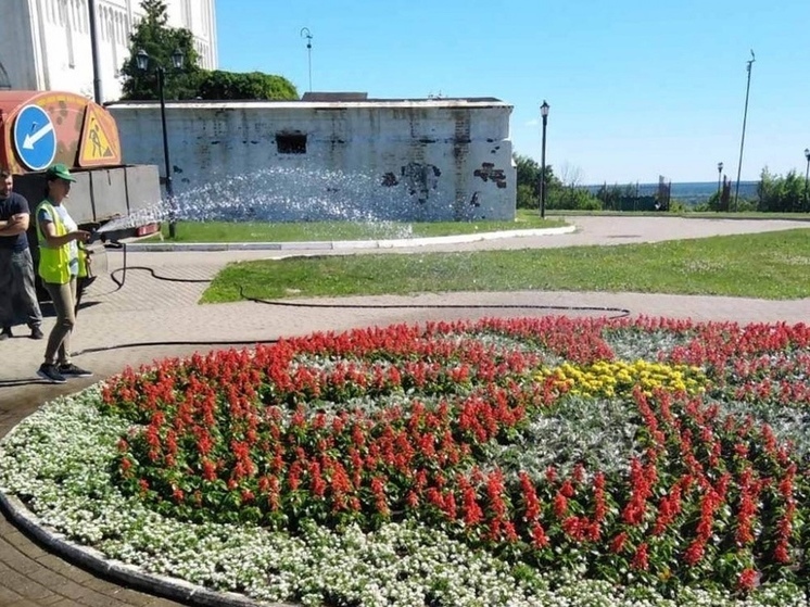 Во Владимире стартовал масштабный проект по озеленению