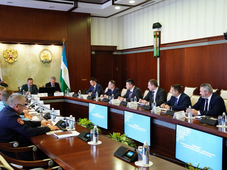 Игорь Комаров обсудил с Радием Хабировым готовность избиркомов Башкирии к выборам