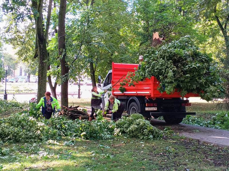 «Пензавтодор» ликвидирует последствия жуткого урагана
