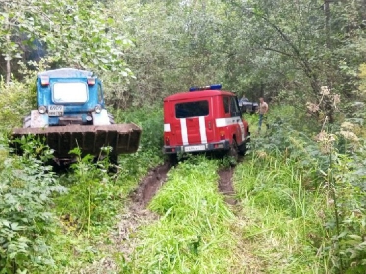 Сотрудники МЧС Новгородской области вывели из леса двух взрослых и ребенка