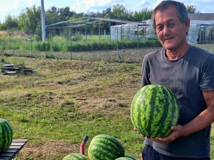 Житель рязанского села Сергей Пак вырастил на огороде 11-килограммовый арбуз