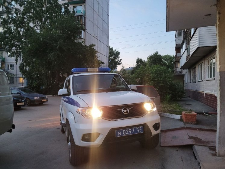 Обвиняемого в домогательстве к школьницам под Новосибирском заключили под стражу