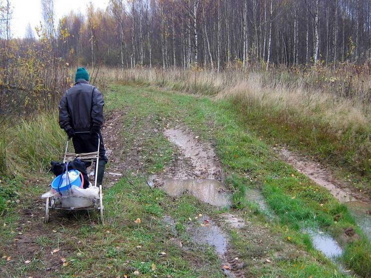 Житель Курской области пешком проник в Суджу и вывел из-под обстрела пятерых своих детей