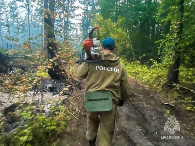 За сутки в Якутии ликвидировали 3 лесных пожара