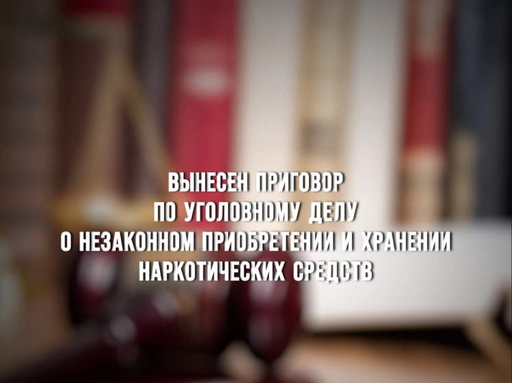 В Вязьме вынесен приговор по уголовному делу о незаконном приобретении и хранении наркотиков