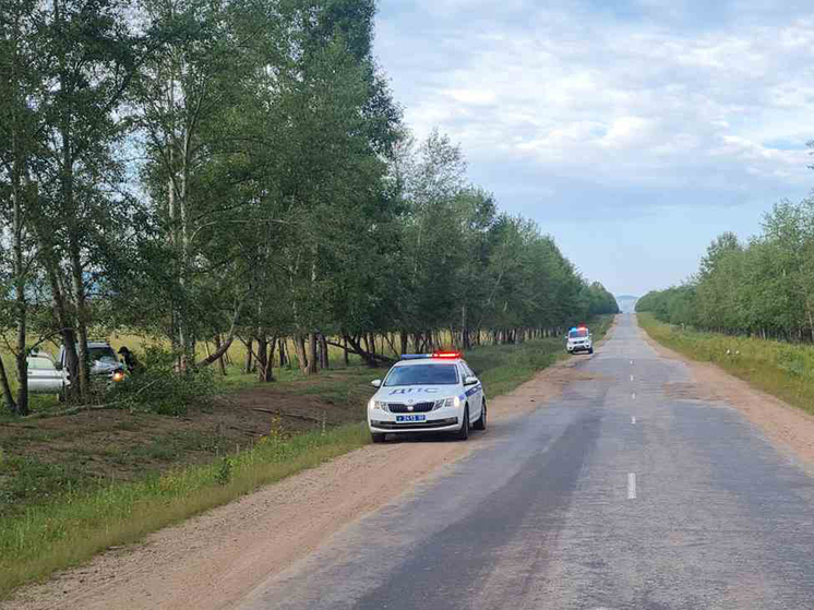 В Бурятии водитель скончался, врезавшись в дерево
