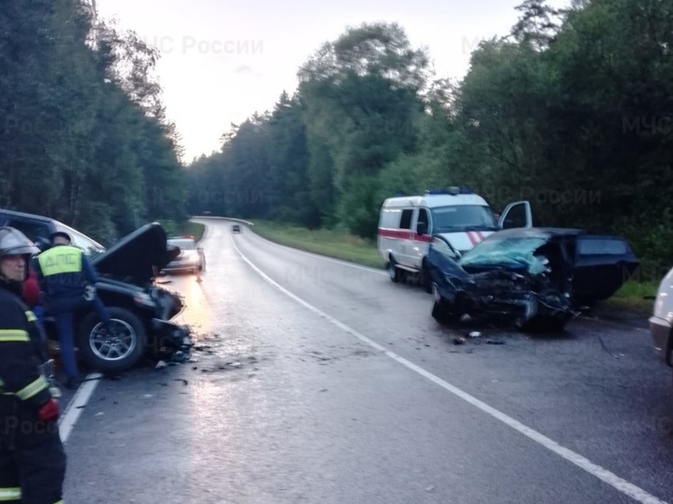 Двое маленьких детей травмированы в ДТП на трассе в Калужской области