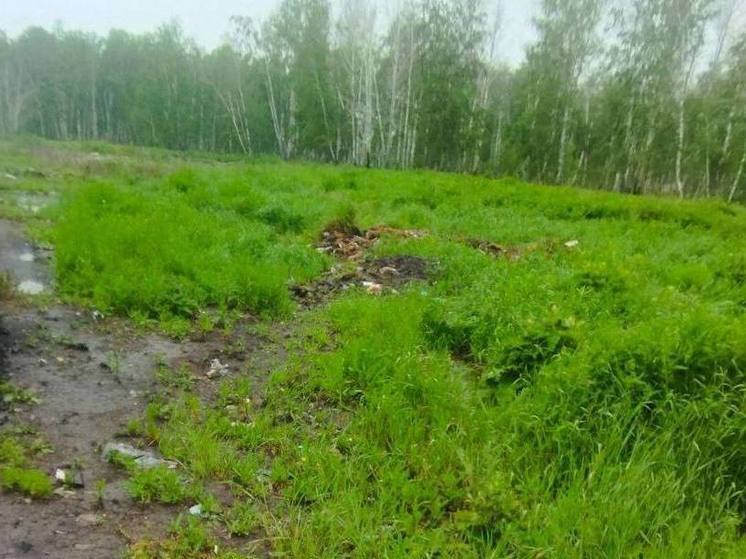 Нелегальная свалка ликвидирована под Новосибирском