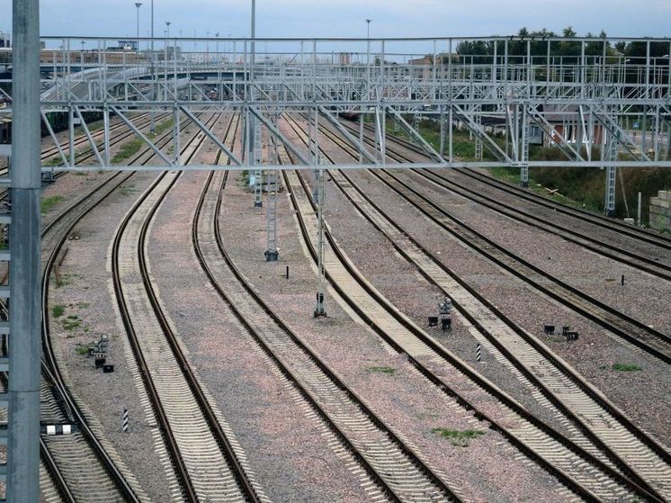 Под Коломной спасли зацепера, который попал под поезд