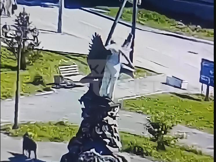 Пьяный сахалинец разбил кувалдой скульптуру орла