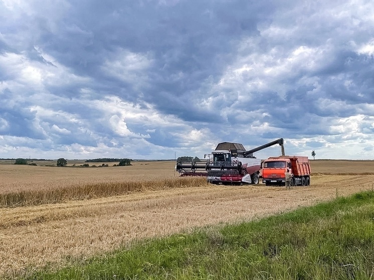 Василий Анохин: на Смоленщине уборка урожая в самом разгаре