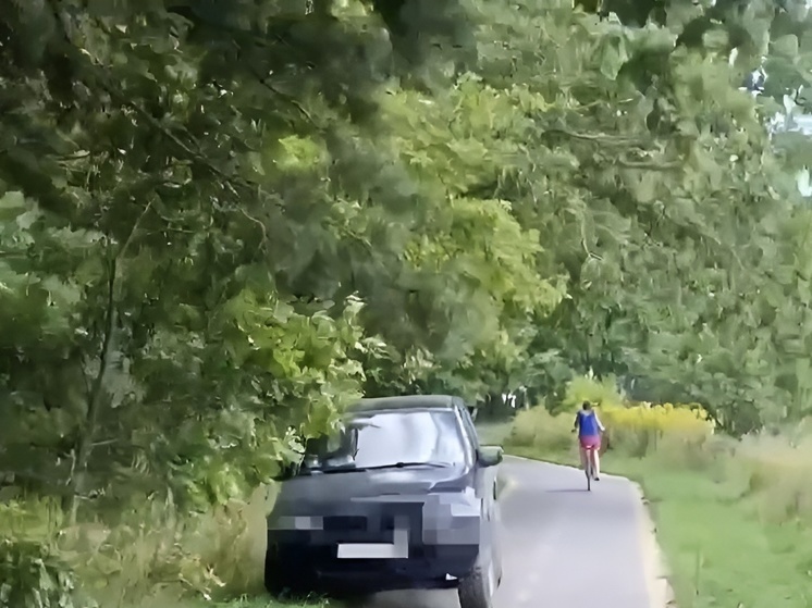 В Калининградской области оштрафовали водителя из-за видео в Сети