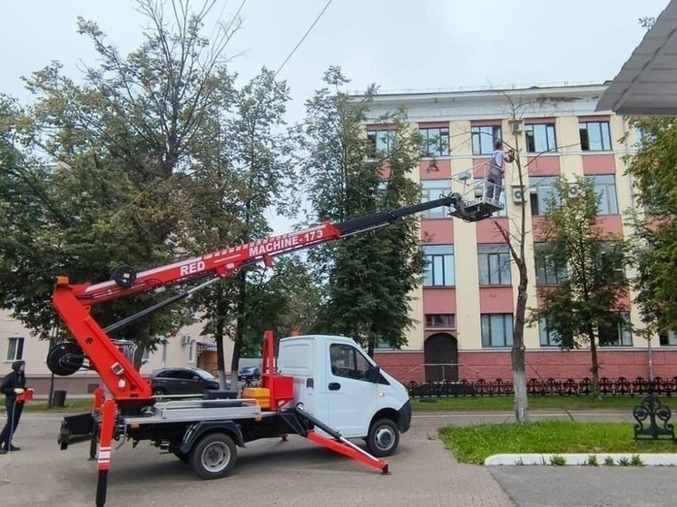 «Зеленстрой» занимается обрезкой деревьев в Вологде