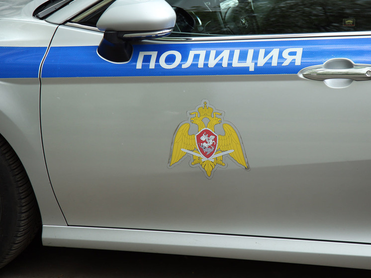 Беременную сотрудницу пункта выдачи избила заказом девушка