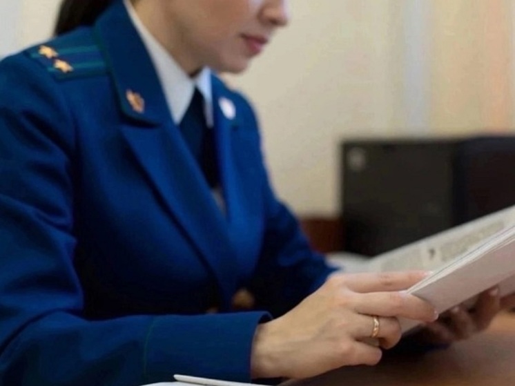 Жительницу столицы Калмыкии осудили за неуплату алиментов
